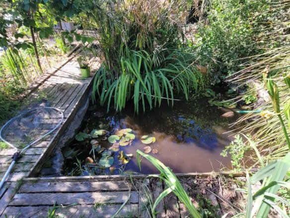 LA FOREST-LANDERNEAU: Ravissante propriété au bord de l’eau sur 1900 m² avec T2 indépendant – VENTE EN VIAGER