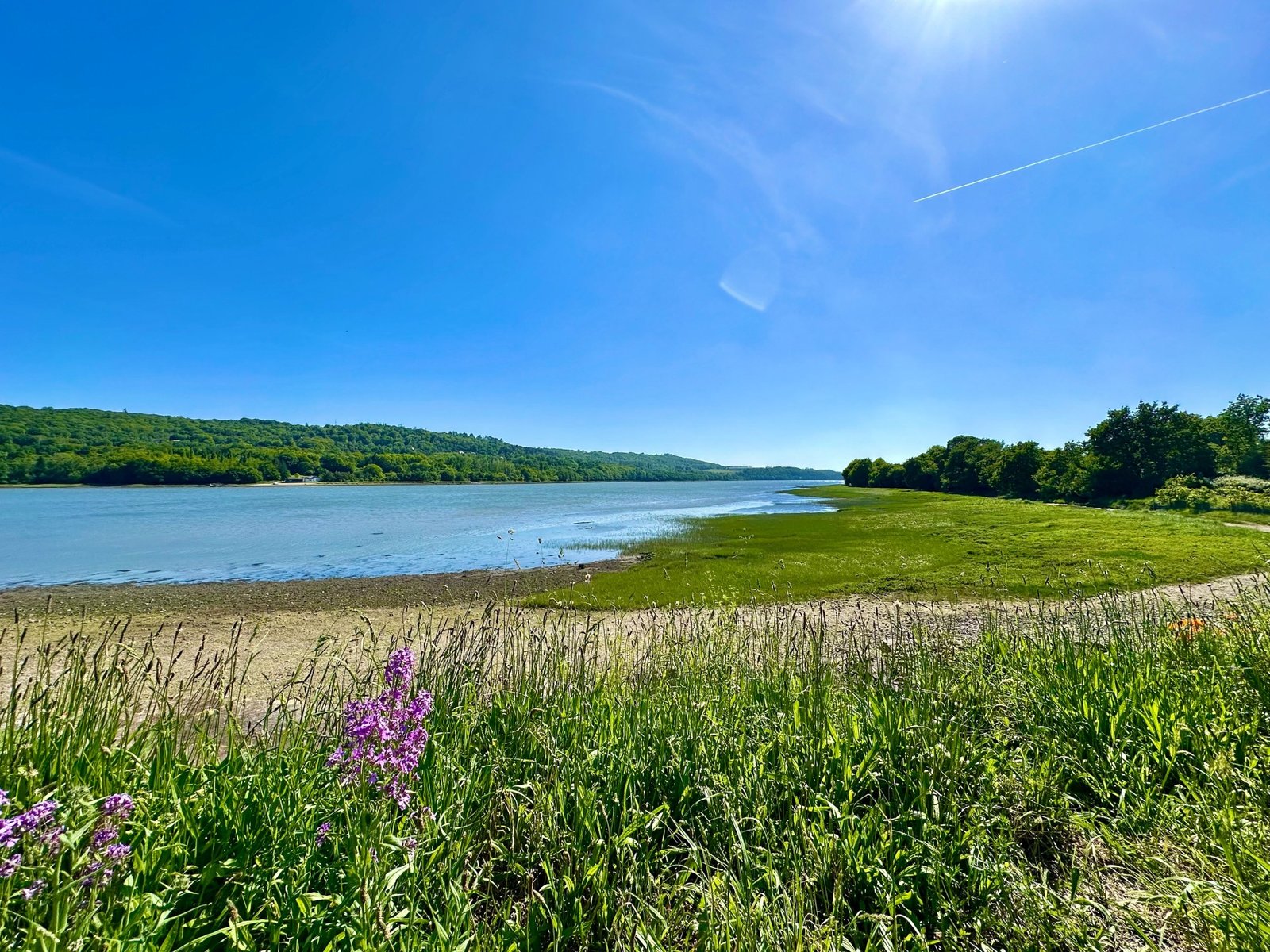 LA FOREST-LANDERNEAU: Ravissante propriété au bord de l’eau sur 1900 m² avec T2 indépendant – VENTE EN VIAGER